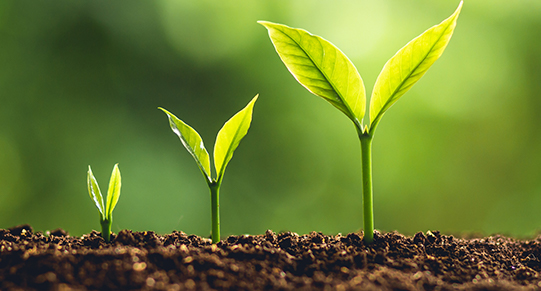 MarTech Fanatics Forum - Jacques van Seeters - Nurturing and Scoring 541x291